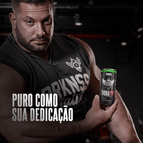 Évora Drink RTD Maça Verde 6 unid - 269 ml